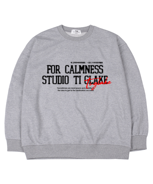 TI.GLAKE(ティーグレイク)の「カムニススタジオ オーバーサイズ スウェットティーシャツ グレー(スウェット・レディース・その他・MEDIUM/LARGE/X-LARGE/XX-LARGE)」の1枚目の写真