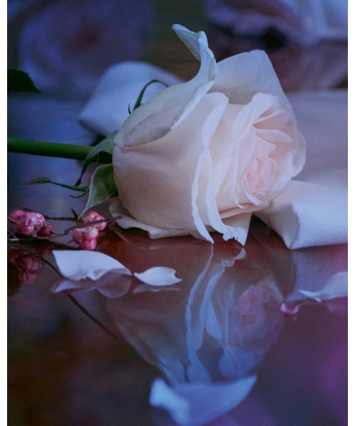 レプリカ　オードトワレ　アップ　アット　ドーン（香水）｜Maison Margiela Fragrances（メゾン マルジェラ フレグランス）のファッション通販 - ZOZOTOWN