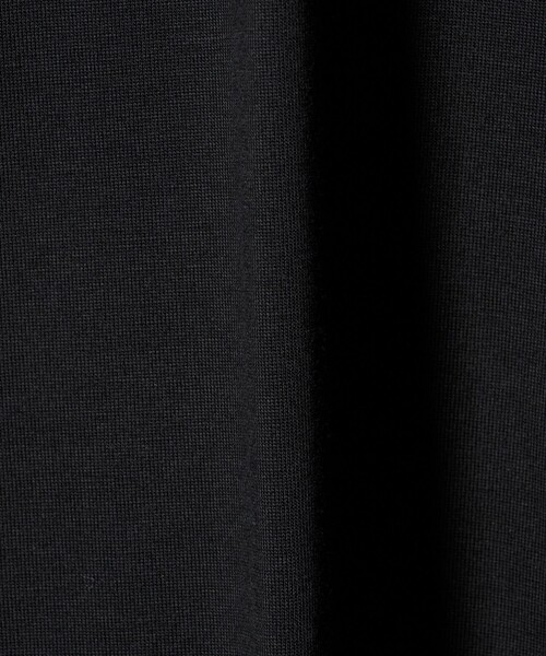 green label relaxing(グリーンレーベルリラクシング)の「<gim>26SS アメリカンシーアイランド ビズ Tシャツ -吸水速乾-(Tシャツ/カットソー・メンズ・ライトブルー/ブラック/ホワイト/ベージュ・M/L/S/XL)」の18枚目の写真
