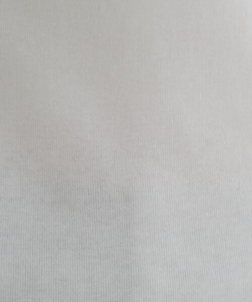 SHENERY(シーナリー)の「ソフトフライスTee(Tシャツ/カットソー・レディース・ホワイト/グレー/ピンク/レッド・FREE)」の21枚目の写真