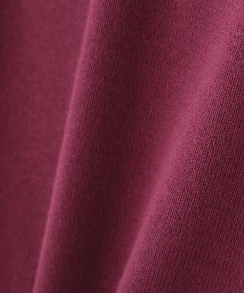 PROPORTION BODY DRESSING（プロポーションボディドレッシング）の「エンブロイダリーフレアニット / 1211270801（ニット/セーター・レディース・ボルドー/ブラック/ダークグレー・FREE）」の20枚目の写真