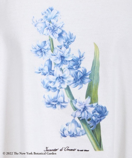 axes femme(アクシーズファム)の「ボタニカルガーデンTシャツ(Tシャツ/カットソー・レディース・カーキ/ブラック/ホワイト・FREE)」の10枚目の写真
