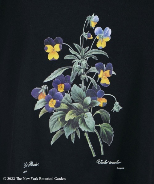 axes femme(アクシーズファム)の「ボタニカルガーデンTシャツ(Tシャツ/カットソー・レディース・カーキ/ブラック/ホワイト・FREE)」の19枚目の写真