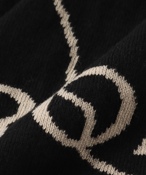 セール】ROA / ロア Logo Beanie RBMW219YA04（ニットキャップ