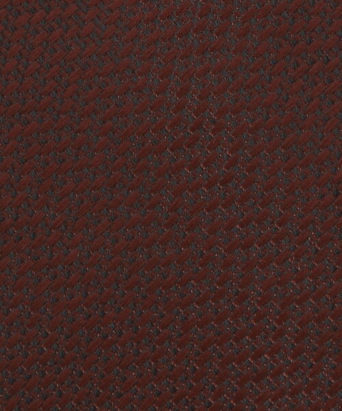 green label relaxing(グリーンレーベルリラクシング)の「GLR ポリエステル ウォッシャブル ソリッド ネクタイ(ネクタイ・メンズ・ネイビー/ロイヤルブルー/グレー/ダークブラウン・FREE)」の10枚目の写真