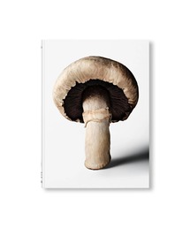 VILLA BOOKS（ヴィラ ブックス）の「THE GOURMAND'S MUSHROOM. A COLLECTION OF STORIES AND RECIPES by The Gourmand（本）」
