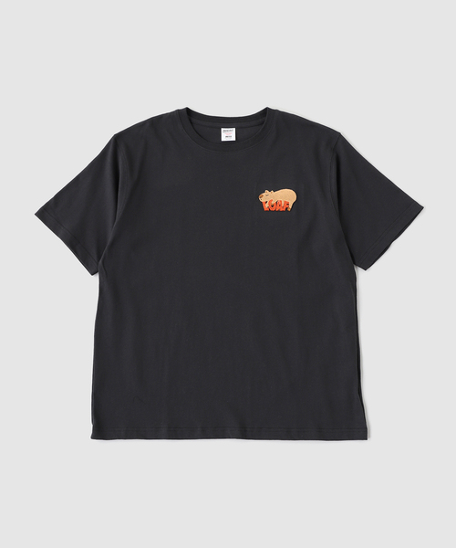 B.C STOCK(ベーセーストック)の「ハブラシシシュウ アニマルTEE(Tシャツ/カットソー・メンズ・グリーン/ホワイト/ブラック・LARGE/MEDIUM)」の22枚目の写真