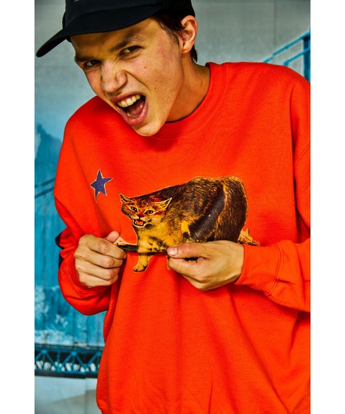 AlexanderLeeChang（アレキサンダーリーチャン）の「AlexanderLeeChang/アレキサンダーリーチャン CATFORNYA CREW クルーネックスウェット（スウェット・メンズ・グレー/オレンジ/ブラック・2/4/3）」の3枚目の写真