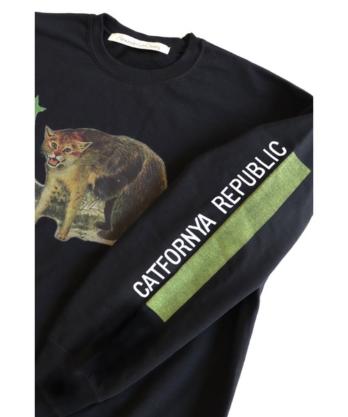 AlexanderLeeChang（アレキサンダーリーチャン）の「AlexanderLeeChang/アレキサンダーリーチャン CATFORNYA CREW クルーネックスウェット（スウェット・メンズ・グレー/オレンジ/ブラック・2/4/3）」の19枚目の写真