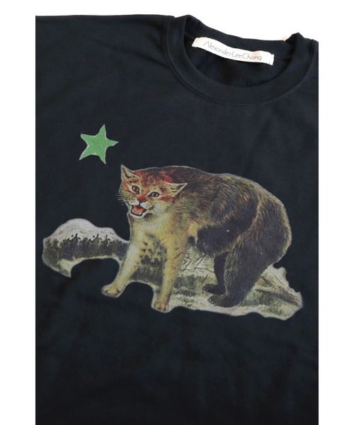 AlexanderLeeChang（アレキサンダーリーチャン）の「AlexanderLeeChang/アレキサンダーリーチャン CATFORNYA CREW クルーネックスウェット（スウェット・メンズ・グレー/オレンジ/ブラック・2/4/3）」の11枚目の写真
