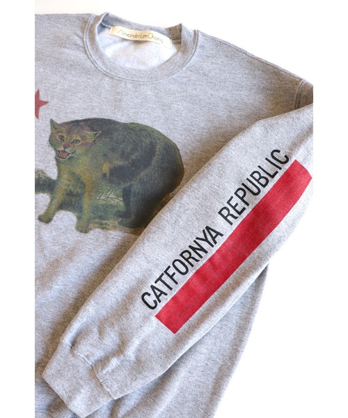 AlexanderLeeChang（アレキサンダーリーチャン）の「AlexanderLeeChang/アレキサンダーリーチャン CATFORNYA CREW クルーネックスウェット（スウェット・メンズ・グレー/オレンジ/ブラック・2/4/3）」の17枚目の写真