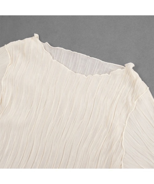 flower(フラワー)の「プリーツシアートップ(Tシャツ/カットソー・レディース・アイボリー/ベージュ/ブルー/ブラック・FREE)」の15枚目の写真