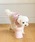gelato pique�i�W�F���[�g�s�P�j�́u�yCAT��DOG�z�n�C�X�^���h�t�[�h�{�E���i���̑��y�b�g�O�b�Y�j�v�b�s���N