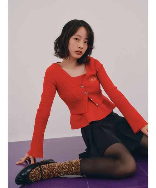 LILY BROWN（リリーブラウン）の「【LILY BROWN × ANNA SUI】ロゴバリエソックス（ソックス/靴下・レディース・レオパード/ホワイト/その他/ブラック・FREE）」の10枚目の写真