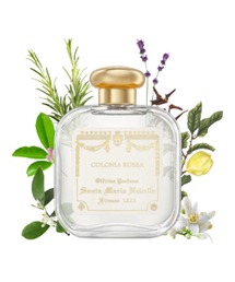 Santa Maria Novella(T^E}AEmFb)̃I[fR  RjA bT()