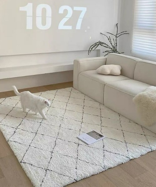 REBALANCE（リバランス）の「ラグマット120x160㎝（ラグ/マット・レディース・B/A/C/D・FREE）」の4枚目の写真