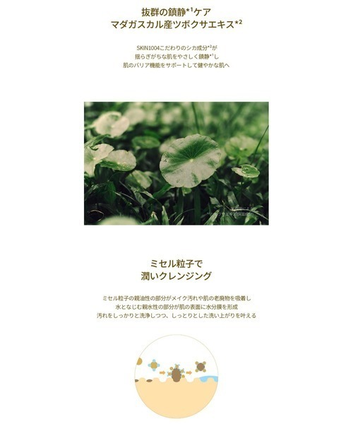 SKIN1004(スキンワンオーオーフォー)の「【数量限定】SKIN1004 MADAGASCAR CENTELLA AMPOULE+CENTELLA CLEANSING OIL(美容液/オイル/クリーム・レディース・その他・FREE)」の13枚目の写真