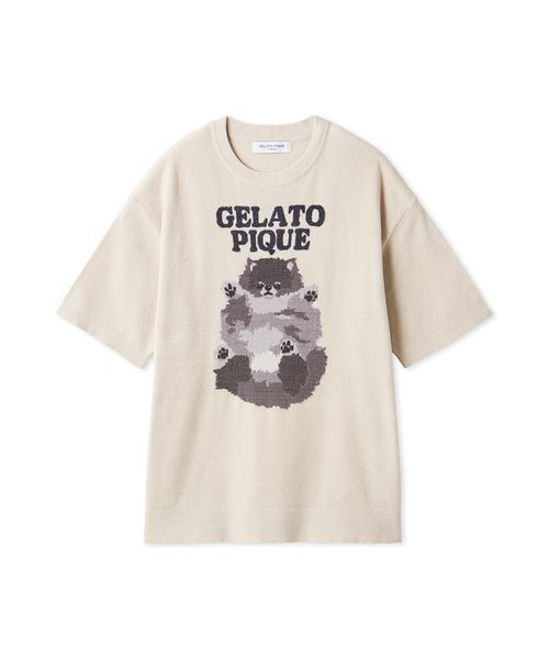 MAICATです☆ ありがとうございます(^^)パジャマドッグ CAT&DOG】【接触冷感】サマーベア柄プルオーバー(ウェア)｜ルーム アンティーク雑貨