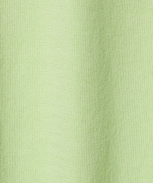 green label relaxing（グリーンレーベルリラクシング）の「MTB コットン ハイゲージ モックネック ニット Tシャツ（ニット/セーター・メンズ・ライム/ブラック/ライトグレー・XL/S/L/M）」の19枚目の写真