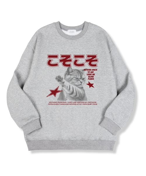 TI.GLAKE(ティーグレイク)の「リブリーロン オーバーサイズ 特殊両面 スウェットTシャツ 4色(スウェット・レディース・ブラック/ネイビー/グレー/チャコール・MEDIUM/LARGE/X-LARGE/XX-LARGE)」の1枚目の写真