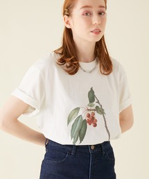 【VTA for MADEMOISELLE】ピクチャーブックプリントTシャツ