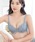 tu-hacci�i�c�[�n�b�`�j�́u�t�����G���[�X�u���y�u���W���[�P�i�z�i�u���W���[�j�v�b�u���[�O���[