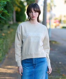 DRESSTERIOR ドレステリア カシミア混 変形ラグランスウェット 40 DRESSTERIOR ドレステリア カシミア混 変形ラグランスウェット