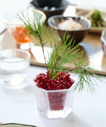 LAKOLE(���R��)�̃K���X����[����] / 627243(�H��)