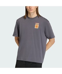 adidas Originals（アディダスオリジナルス）の「adidas ARCHIVE COUNTRY FLAG T-SHIRT / アディダス アーカイブ カントリー フラッグ Tシャツ / グレー KD1429（Tシャツ/カットソー）」