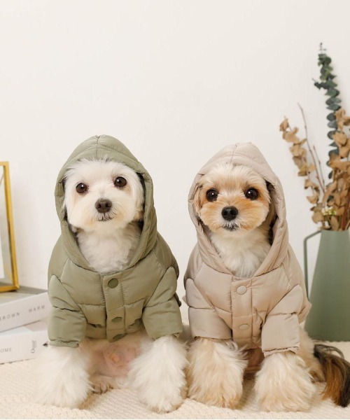 moncheri モンシェリ 2026 Happy bag-Girl Lサイズ moncheri 2026 Happy bag-Girl Lサイズ - メルカリ