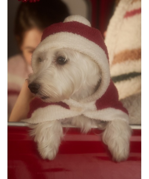 gelato pique（ジェラートピケ）の「【HOLIDAY】【CAT&DOG】ベビモコケープ（ペットウェア・レディース・グリーン/レッド・SMALL/MEDIUM/LARGE）」の10枚目の写真