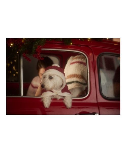 gelato pique（ジェラートピケ）の「【HOLIDAY】【CAT&DOG】ベビモコケープ（ペットウェア・レディース・グリーン/レッド・SMALL/MEDIUM/LARGE）」の12枚目の写真
