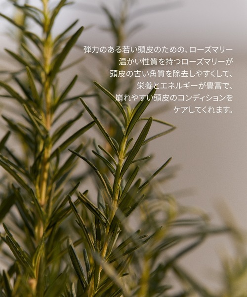 AROMATICA（アロマティカ）の「ローズマリールートエンハンサー（その他ボディ・ヘアケア・レディース・その他・FREE）」の3枚目の写真