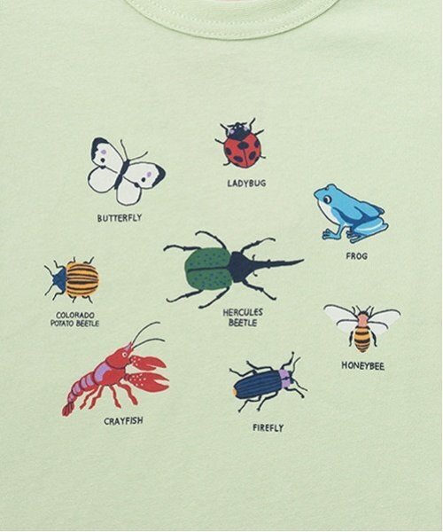 petit main（プティマイン）の「【プティプラ】BOYS半袖Tシャツ２（Tシャツ/カットソー・キッズ・ネイビー/ブルー/オフホワイト/ライトベージュ/ライトグリーン・90cm/130cm/120cm/110cm/80ｃｍ/100cm）」の15枚目の写真