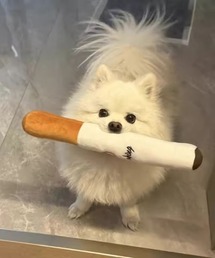 Port(|[g)́y Port / |[g z VKbg ΂ fUC ybg NbV #(ybgp)