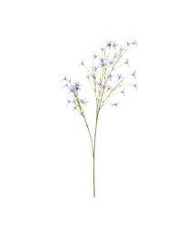 Francfranc(�t�����t����)�̃A�[�g�t�����[ �g�D�C�\�f�B�A �u���[(�C���e���A�G��)