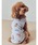 gelato pique�i�W�F���[�g�s�P�j�́u�yCAT&DOG�z�h�b�O�J�b�g�\�[�v���I�[�o�[�i�y�b�g�E�F�A�j�v�b�u���[