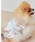 gelato pique�i�W�F���[�g�s�P�j�́u�yCAT&DOG�z�h�b�O�J�b�g�\�[�v���I�[�o�[�i�y�b�g�E�F�A�j�v�b�N���[��