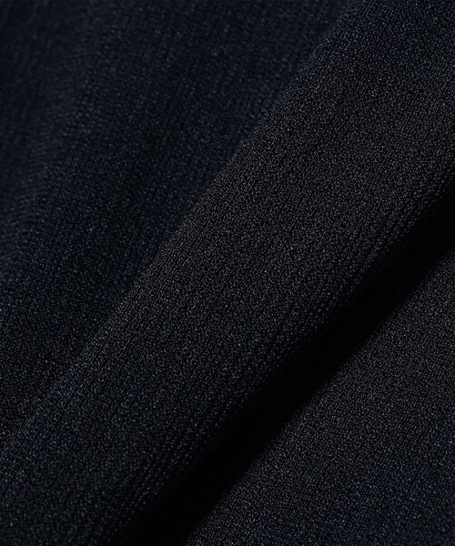 Ray BEAMS(レイビームス)の「【8/6値下げ】【別注】FRED PERRY / ロングスリーブ ボタン ポロシャツ(Tシャツ/カットソー・レディース・ネイビー/サックスブルー・10)」の20枚目の写真