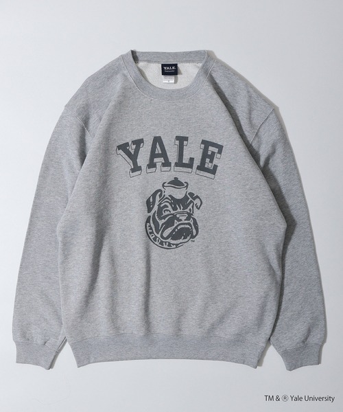 FUNALIVE(ファンアライブ)の「YALE DOUBLEーSIDED PRINTING CREW SWEAT ビックシルエット(スウェット・レディース・ヘザーグレー・M/L)」の21枚目の写真
