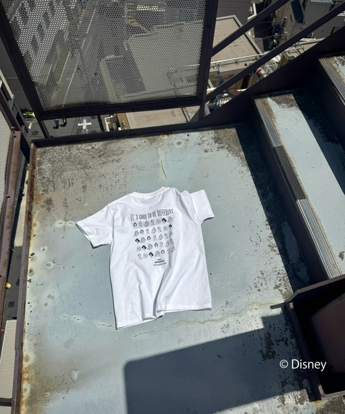 FIG&VIPER(フィグアンドバイパー)の「Disney Princess/MID T(ディズニープリンセス)(Tシャツ/カットソー・レディース・ホワイト/ライトグレー・FREE)」の6枚目の写真
