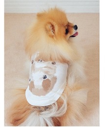 gelato pique（ジェラートピケ）の「【CAT&DOG】ドッグジャガードプルオーバー（ペットウェア）」