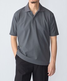 SHIPS（シップス）の「SHIPS:〈洗濯機可能〉FIELD SENSOR(R) ショート スリーブ ポロシャツ(セットアップ対応)（ポロシャツ）」