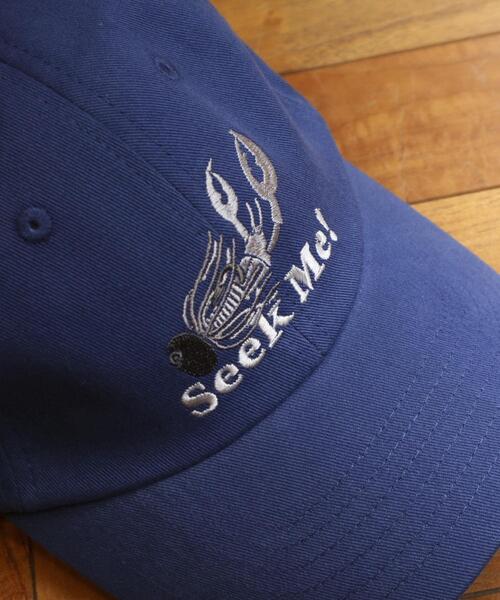URBAN RESEARCH(アーバンリサーチ)の「『別注』TASF×LAKE SEEKERS SEEK ME! CAP(キャップ・メンズ・ブラック/ネイビー・FREE)」の10枚目の写真