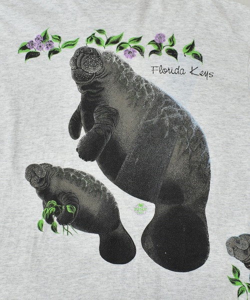 VINTAGE（ヴィンテージ）の「【ヴィンテージ古着】90's～ アニマルプリントTシャツ USA製 Florida Keys マナティ（Tシャツ/カットソー・メンズ・グレー・X-LARGE）」の2枚目の写真