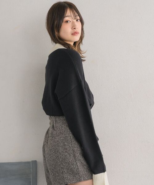RETRO GIRL(レトロガール)の「胸刺繍ポロNT(ニット/セーター・レディース・ブラック/ナチュラル/ブラック系その他3・FREE)」の6枚目の写真