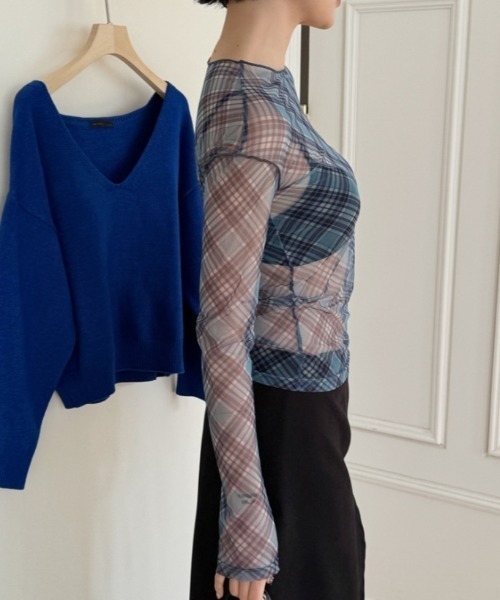 Vipoa(ヴィポア)の「check sheer tops(Tシャツ/カットソー・レディース・ブラック/ブルー/ピンク・FREE)」の21枚目の写真