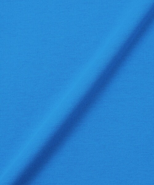MACKINTOSH PHILOSOPHY（ﾏｯｷﾝﾄｯｼｭ ﾌｨﾛｿﾌｨｰ）の「【CRANWELL SHIRTS(クランウェルシャツ)】ハイゲージコットンジャージ製（Tシャツ/カットソー・レディース・ピンク系その他2/オフホワイト/ブラック/ライトブルー・38）」の16枚目の写真
