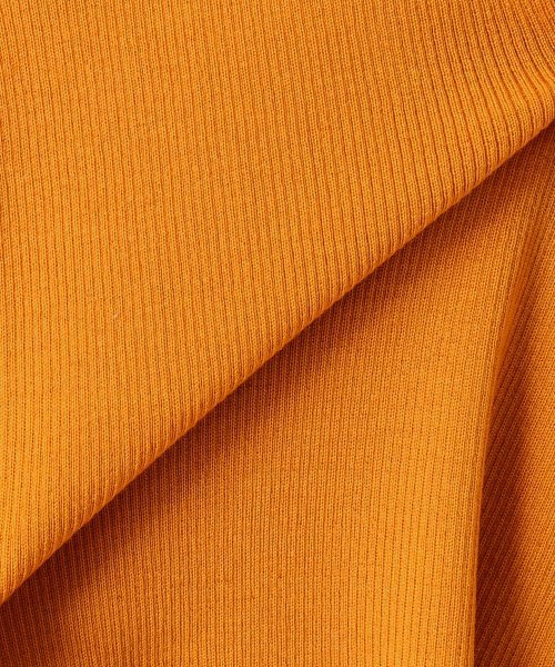 Spick & Span（スピックアンドスパン）の「WASHABLE WOOL リブCREW◆（ニット/セーター・レディース・ブラック/レッド/マスタード/ブラック×ホワイト/ナチュラル・FREE）」の13枚目の写真