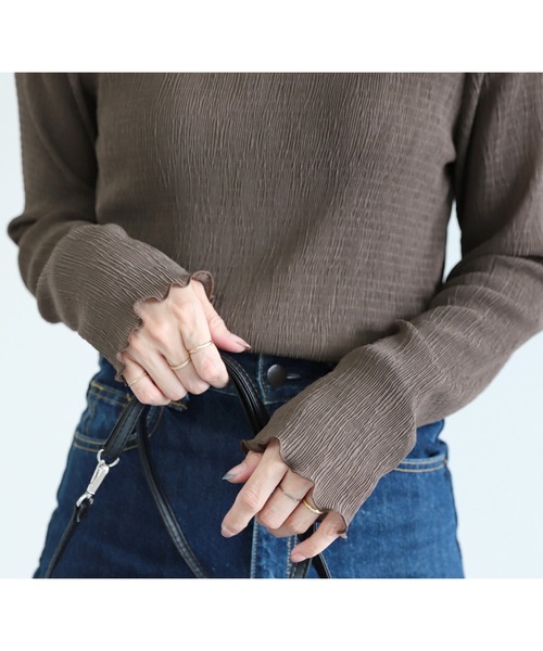 reca（レカ）の「シースルーメロー楊柳プリーツハイネックプルオーバー（シャツ/ブラウス・レディース・ブラック/アイボリー/ブラウン/ライトグリーン/パープル/チャコールグレー・M）」の10枚目の写真